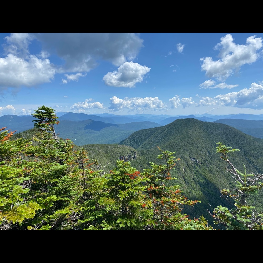 Meet your Posher, Cat